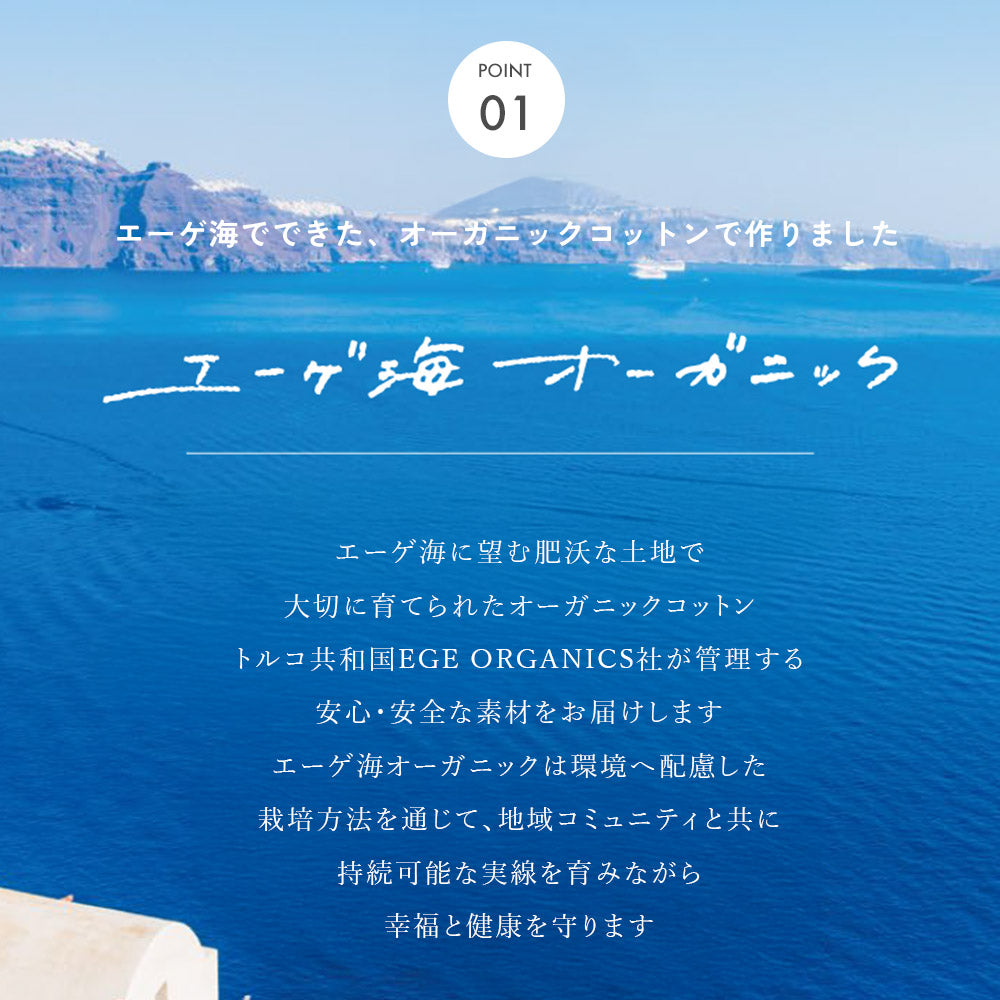 【半袖】つけ襟 ロンパース パターンメッシュ オーガニックコットン